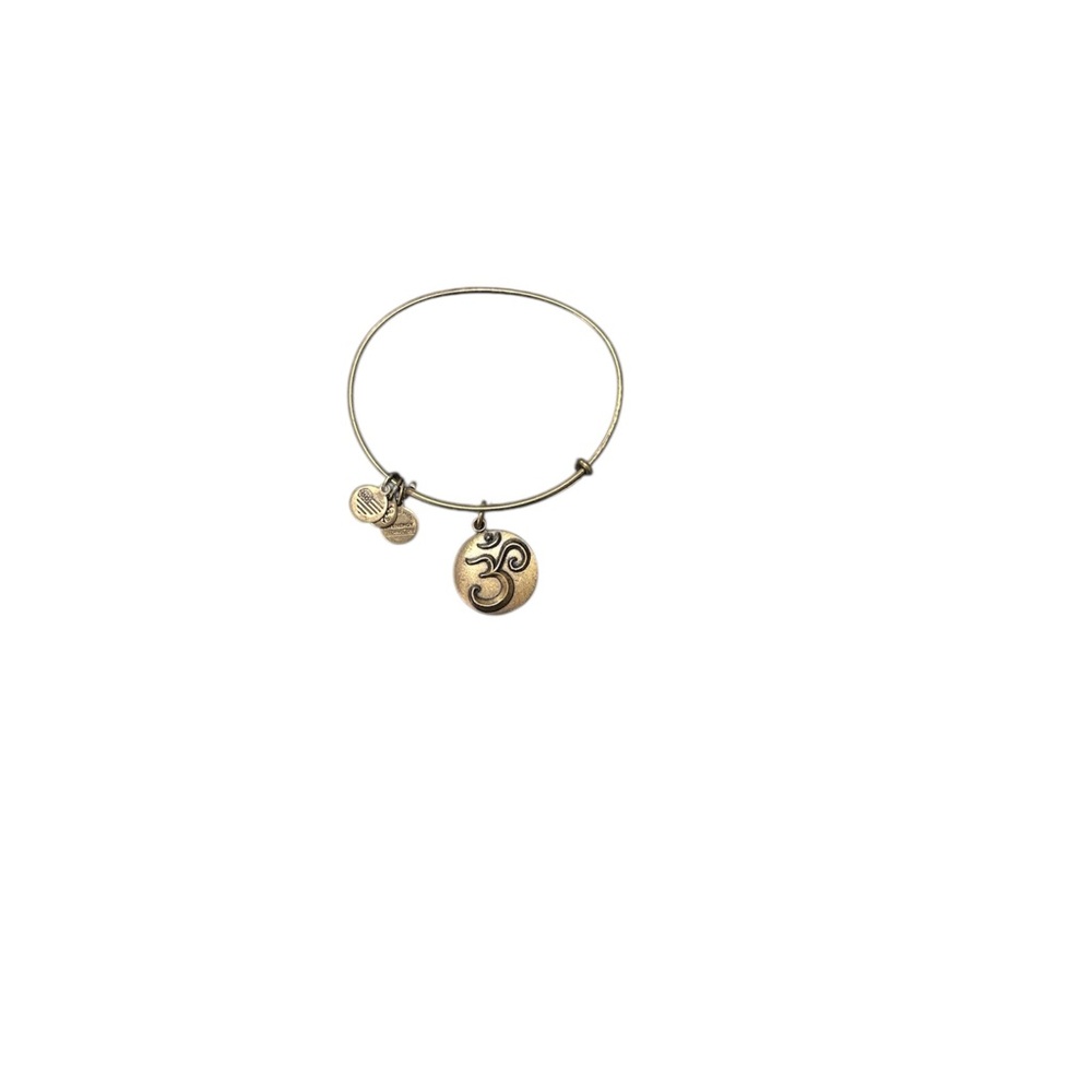 Alex and Ani Gold Expandable Charm Bracelet
